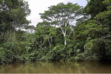 NS《泡泡糖忍战》联动《鬼灭之刃》开启 新奖励多多